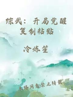 综武:开局觉醒复制粘贴